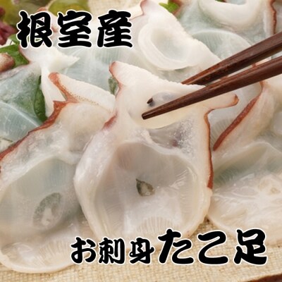 【北海道根室産】たこ足800g前後～1.4kg前後×1本 A-30050