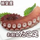 【北海道根室産】たこ足800g前後～1.4㎏前後×1本 A-70051