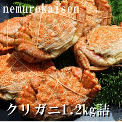 【北海道根室産】クリガニ200～250g×5～6尾(計1.2kg) A-57056