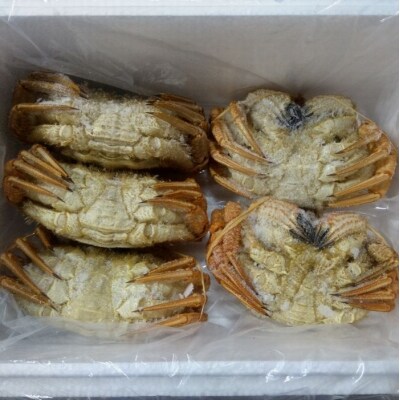 【北海道根室産】クリガニ200～250g×5～6尾(計1.2kg) A-57056