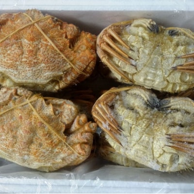 【北海道根室産】クリガニ200～250g×10～12尾(計2.4kg) C-57038