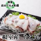 【北海道根室産】たこ足800g前後～1.4kg前後×1本 A-76028