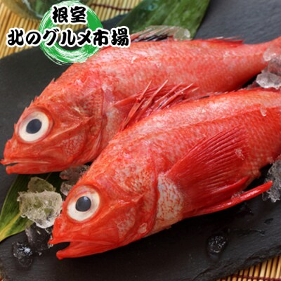【北海道根室産】キチジ(メンメ・キンキ)7尾～11尾(下処理済) E-76001