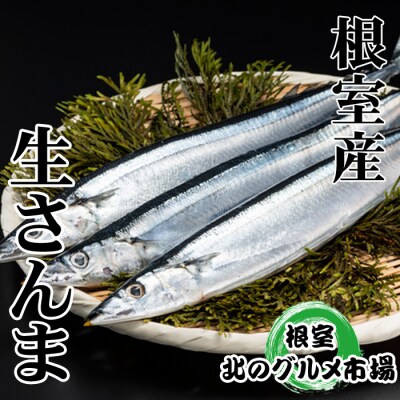 【北海道根室産】さんま5尾×8P(計40尾) C-76001