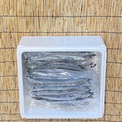 【北海道根室産】さんま5尾×8P(計40尾) C-76001