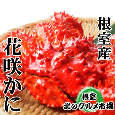 【北海道根室産】花咲かに400g～550g前後×4尾 B-76030