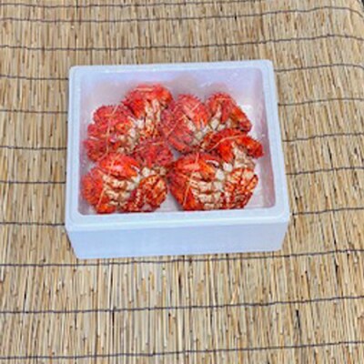 【北海道根室産】花咲かに400g～550g前後×4尾 B-76030