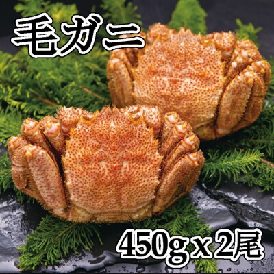 【北海道根室産】浜ゆで毛ガニ450g前後×2尾 C-83001