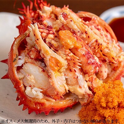 【北海道根室産】花咲がに500g前後×2尾セット(チルド便) B-80005