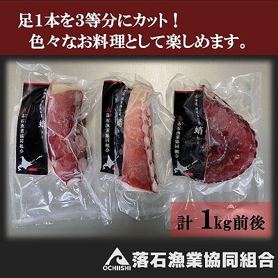 【北海道根室産】ボイルたこ足(水蛸)ブロック3切(計1kg前後) A-20003