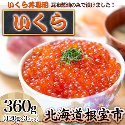 【北海道根室産】小分けいくら120g×3P B-45009