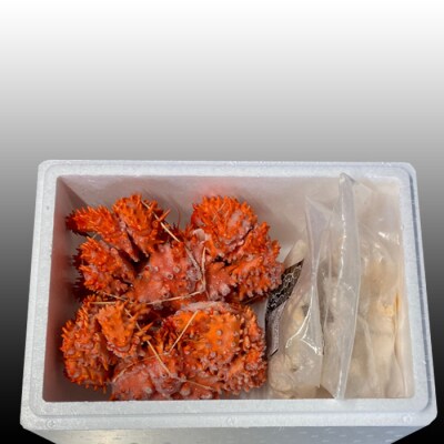 【北海道根室産】花咲かに400g～550g×2尾、たこ唐揚げ×2P B-70047