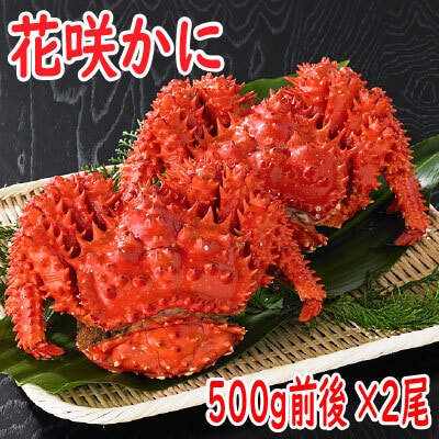 【北海道根室産】花咲かに500g前後×2尾 A-19010