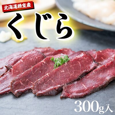 【北海道根室産】生くじら約300g、鮭ほぐし80g×2瓶、ほたて500g C-45015