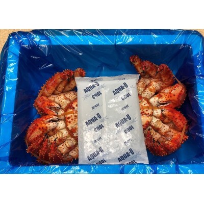 【北海道根室産】花咲がに500g前後×2尾(計1kg) A-54013