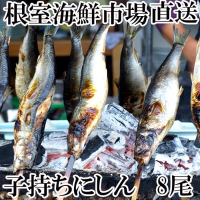 根室海鮮市場＜直送＞一夜干子持ちにしん8尾 A-28126