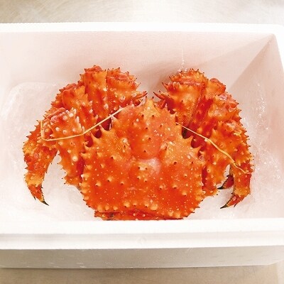  【北海道根室産】花咲かに700g～800g前後×1尾 A-10061