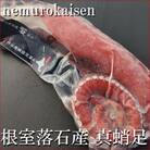 【北海道根室産】刺身用真だこ足800g～1.2kg前後×1本 A-57059