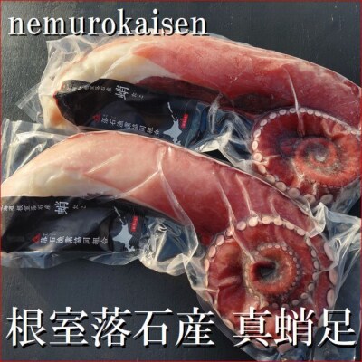 【北海道根室産】刺身用真だこ足800g～1.2kg前後×2本 C-57045