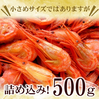 【北海道根室産】北海シマエビ500g(70～90尾前後) G-07001