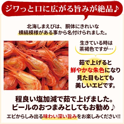 【北海道根室産】北海シマエビ500g(70～90尾前後) G-07001