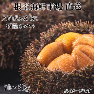 根室海鮮市場＜直送＞エゾバフンウニ(赤系・黄系)バラ詰め70～80g×1折 G-28002