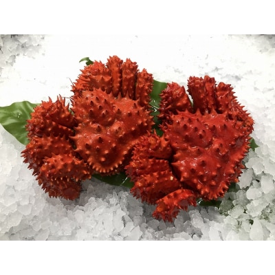 【北海道根室産】花咲がに500g前後×2尾 G-54002