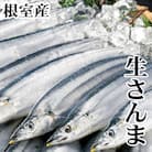 【北海道根室産】生さんま5尾×2P G-36001