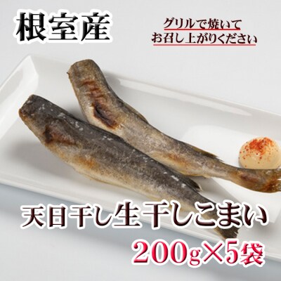 【北海道根室産】一夜干しこまい200g×5P G-36005
