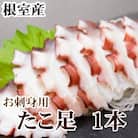 【北海道根室産】たこ足500g前後～800g前後×1本 G-36008