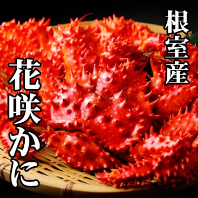 【北海道根室産】花咲かに300g前後～450g前後×3尾 G-76010