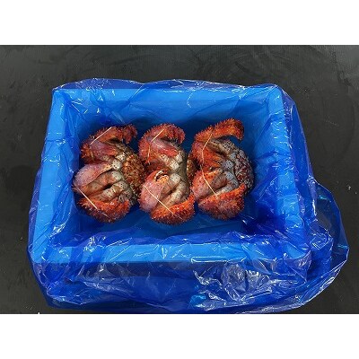 【北海道根室産】花咲がに500g前後×3尾(計1.5kg) A-54013