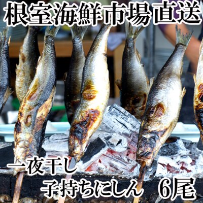 根室海鮮市場＜直送＞一夜干し子持ちにしん6尾 G-28047