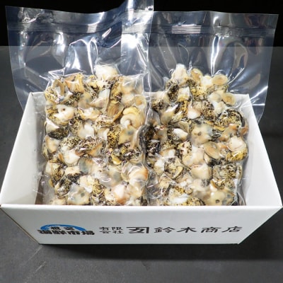 【北海道根室産】生食用灯台つぶ(ボイル済)250g×2P(計500g) G-14040