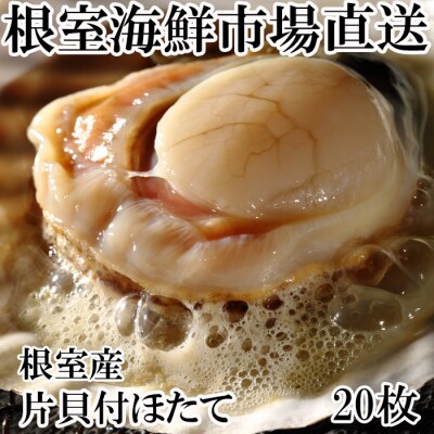 【北海道根室産】片貝ほたて20枚 G-14044