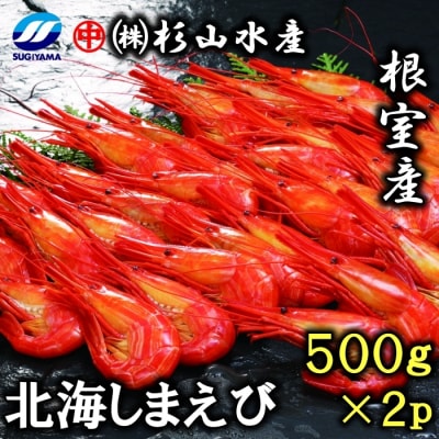 【北海道根室産】北海しまえび500g×2P B-75008
