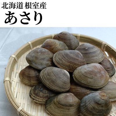 【北海道根室産】冷凍あさり300g×5P(計1.5kg) A-12005
