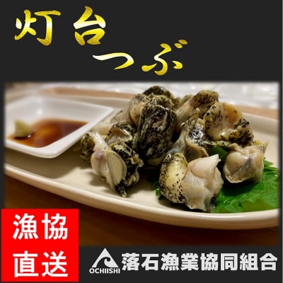 【北海道根室産】灯台つぶ200g×2P(計400g) G-20002