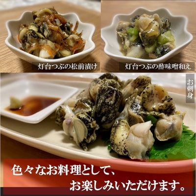 【北海道根室産】灯台つぶ200g×2P(計400g) G-20002