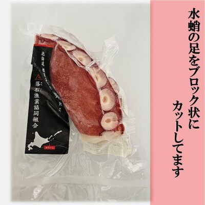 【北海道根室産】ボイル水たこ足ブロック2P(計900g) A-20009
