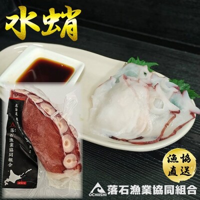 【北海道根室産】ボイル水たこ足ブロック3P(計1.5kg) B-20007
