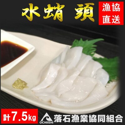 【北海道根室産】ボイル水たこ頭カット15P(計7.5kg) D-20002
