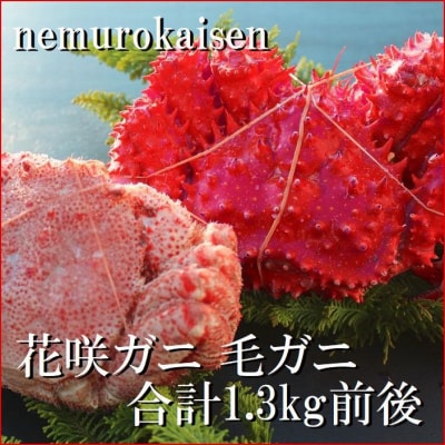 【北海道根室産】花咲ガニ1尾・毛がに1尾(2種計1.3kg前後) D-57039