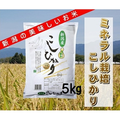 【令和7年産先行受付】ミネラル栽培こしひかり 5kg  
