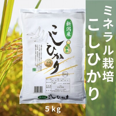 【令和8年産新米先行受付】ミネラル栽培こしひかり 5kg  