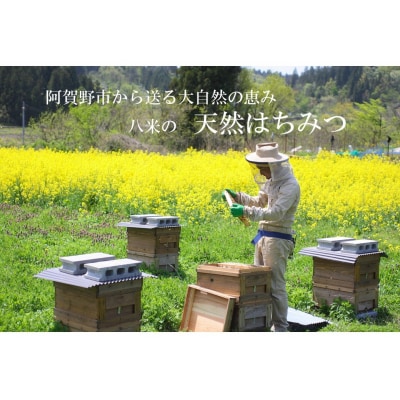 HACHIBEI 阿賀野産天然はちみつプレミアムセット