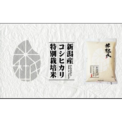 【令和7年産新米】米杜氏新潟県阿賀野市産　コシヒカリ 5kg