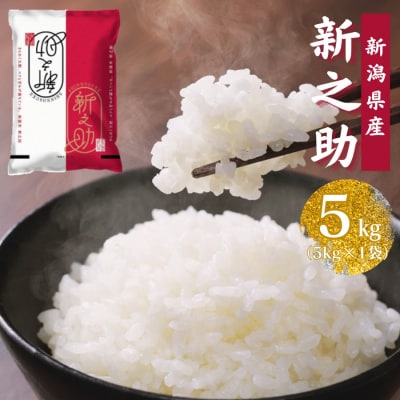 【令和7年産】新潟産 新之助 5kg×1袋 