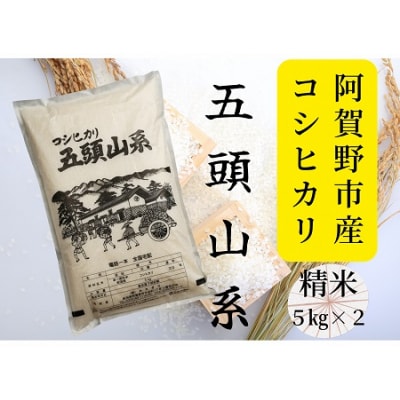 【令和7年産新米】コシヒカリ 10kg「米屋のこだわり阿賀野市産」