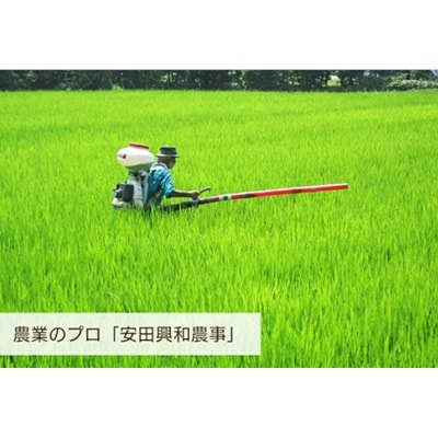 【令和8年産新米先行受付】阿賀野市産コシヒカリ「風神の舞」10kg(5kg×2袋)